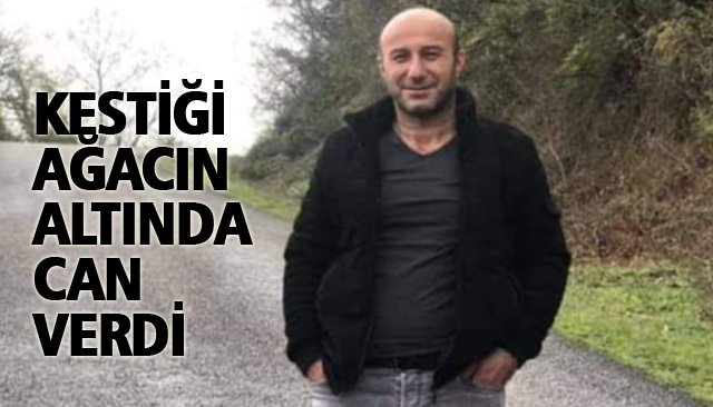 KESTİĞİ AĞACIN ALTINDA CAN VERDİ