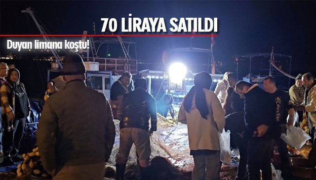 KİLOLUK PALAMUTLAR 70’E SATILDI