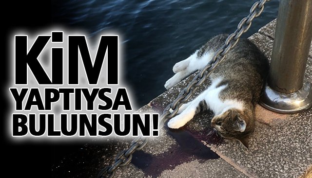 KİM YAPTIYSA BULUNSUN!