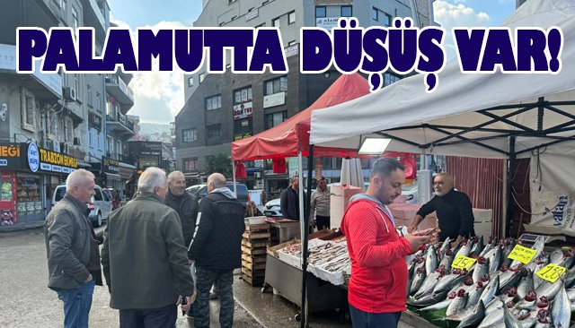 PALAMUTTA DÜŞÜŞ VAR!