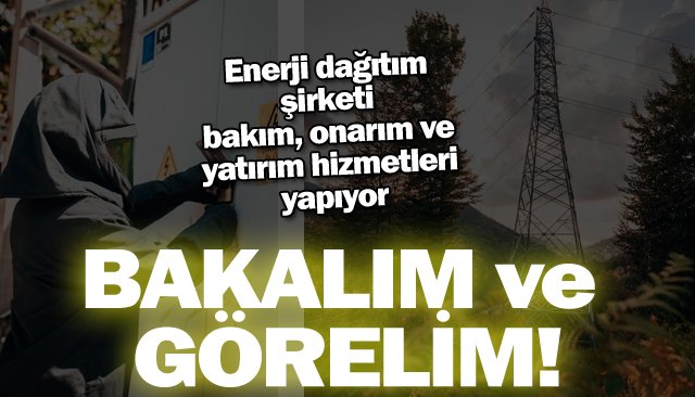 BAKALIM ve GÖRELİM!