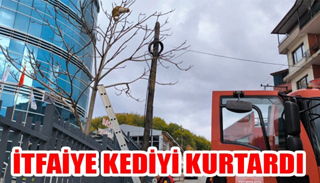 İTFAİYE KEDİYİ KURTARDI