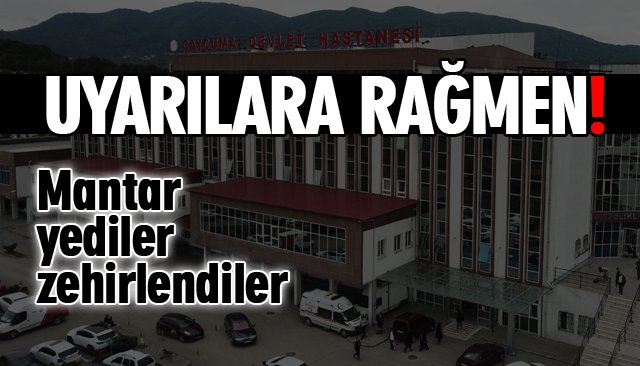 MANTAR YEDİLER ZEHİRLENDİLER