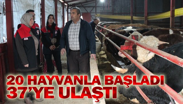 20 HAYVANLA BAŞLADI 37’YE ULAŞTI