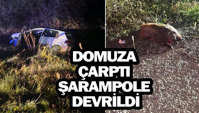 DOMUZA ÇARPTI ŞARAMPOLE DEVRİLDİ