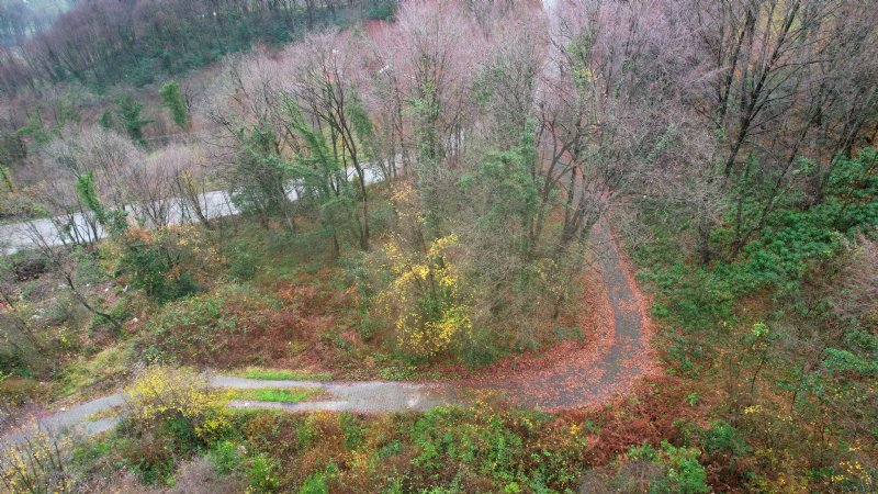 SONBAHARIN GÜZELLİĞİ... - 1