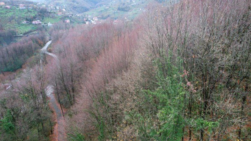 SONBAHARIN GÜZELLİĞİ... - 2