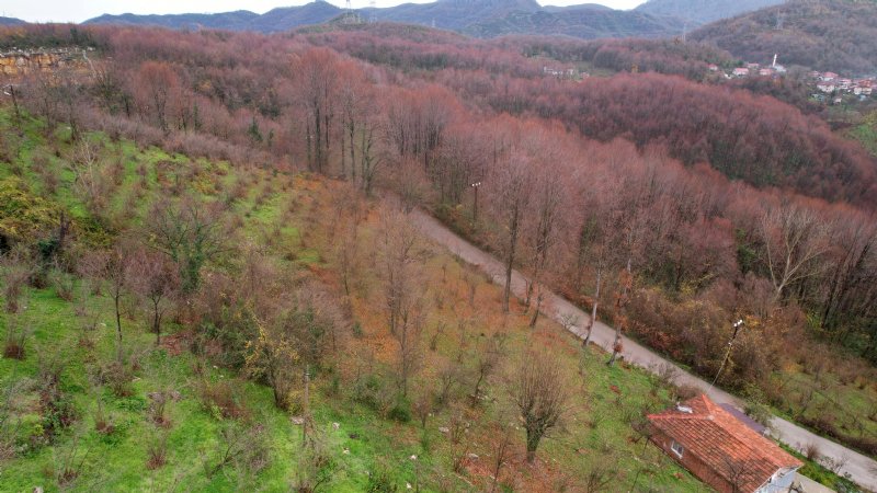 SONBAHARIN GÜZELLİĞİ... - 3