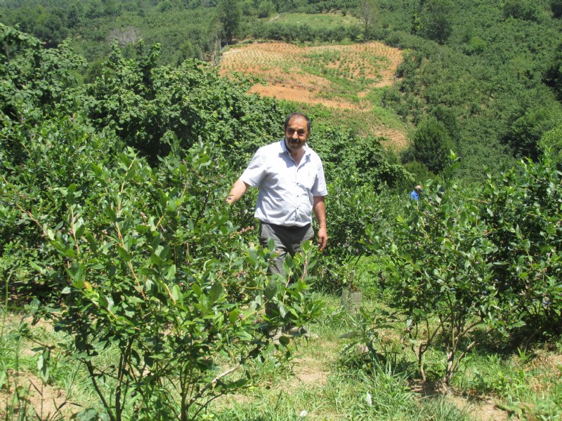 Ekonomik getirisi çok yüksek; 1 dönümle başladı şimdi 10 dönümde üretim yapıyor… - 7