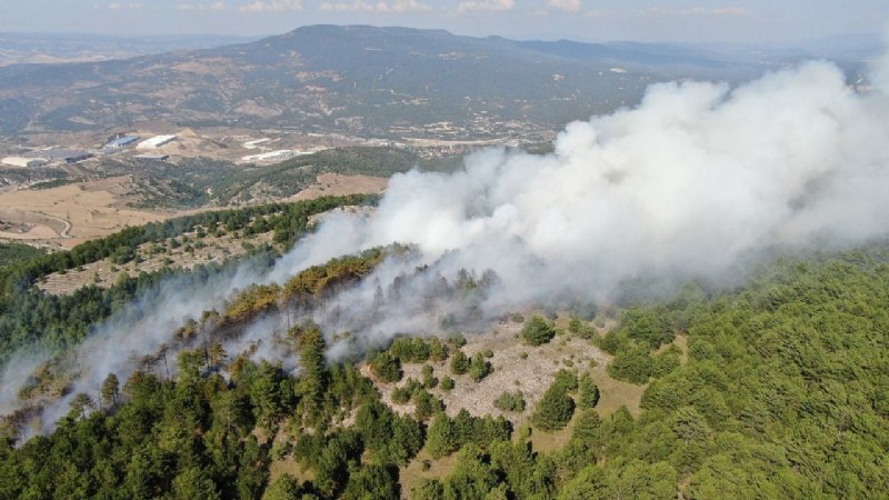 KARABÜK´TE ORMAN YANGINI! - 3