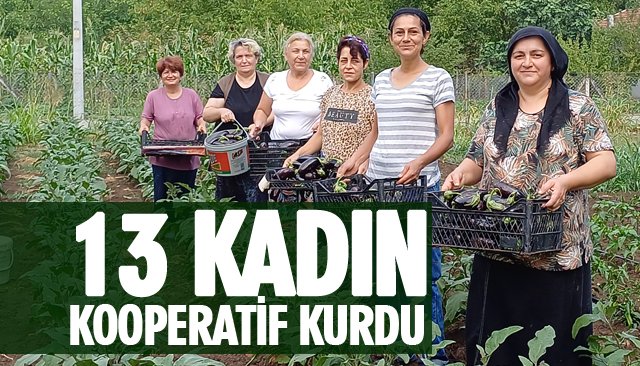 13 KADIN KOOPERATİF KURDU