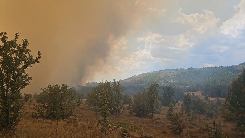 ANKARA´DA BAŞLAYAN YANGIN BOLU´YA SIÇRADI - 2