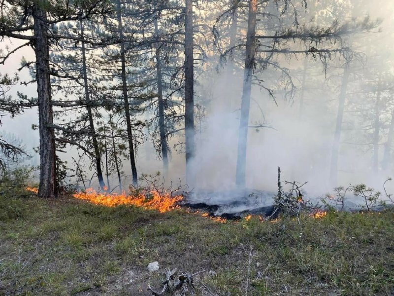 ÇİĞERLERİMİZ YANDI - 1