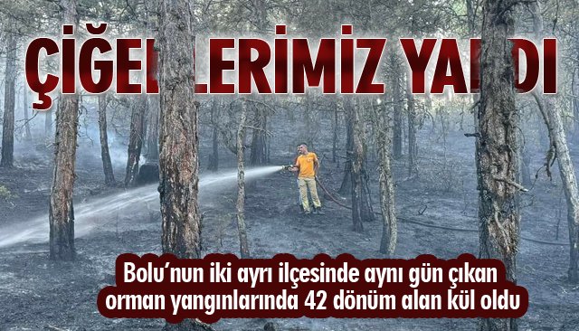 ÇİĞERLERİMİZ YANDI