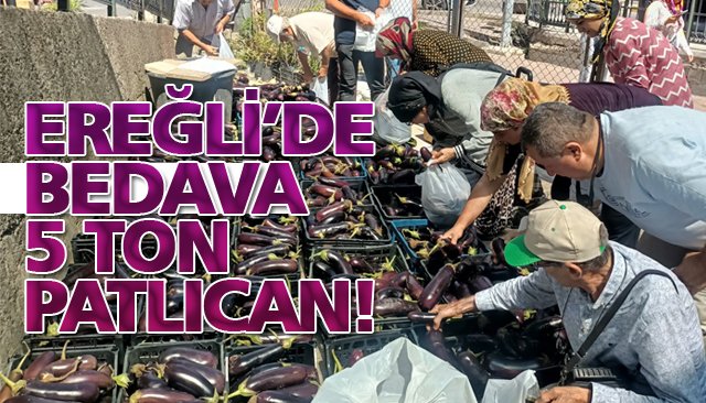 EREĞLİ’DE BEDAVA 5 TON PATLICAN!