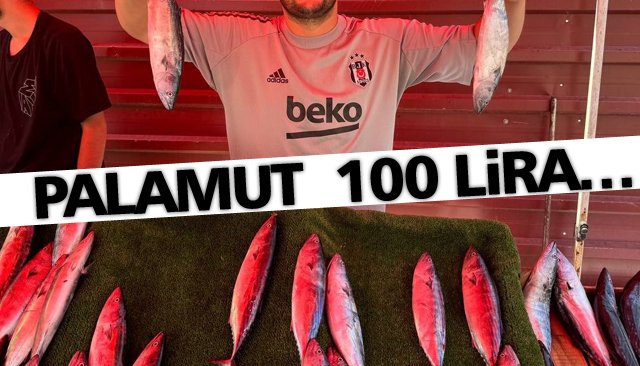 PALAMUT TEZGAHTA; 100 LİRA…