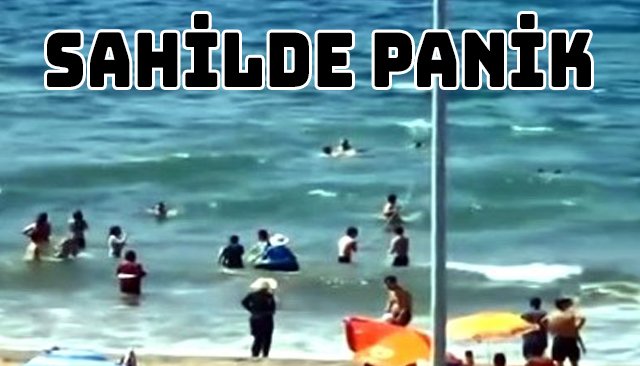 SAHİLDE PANİK