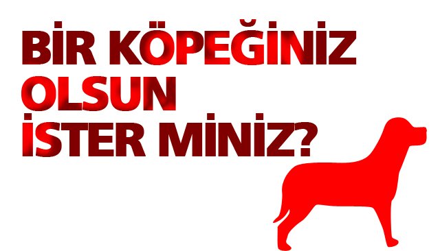 SENİN DE BİR KÖPEĞİN OLSUN