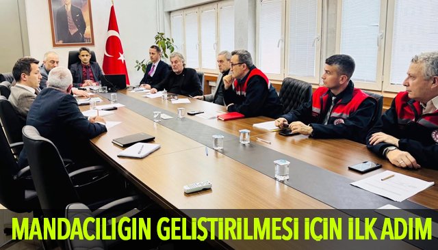 MANDACILIĞIN GELİŞTİRİLMESİ İÇİN İLK ADIM