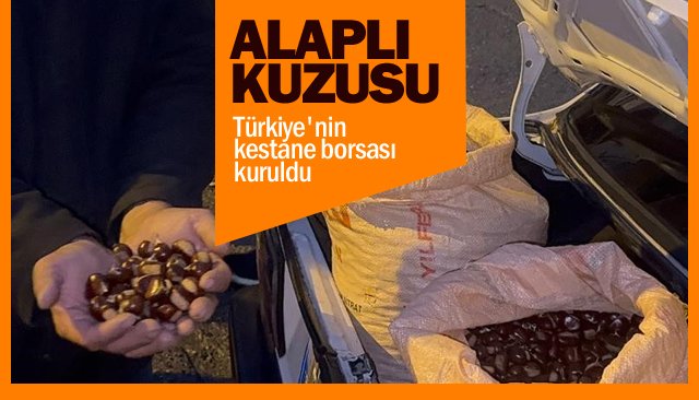 ALAPLI KUZUSU…