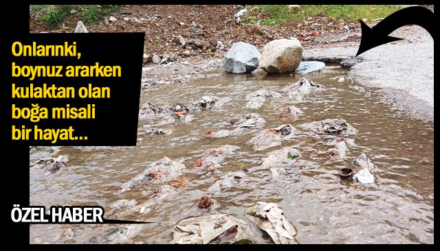 AVRUPA KENTİ İÇİNDEN AKAN LAĞIM!