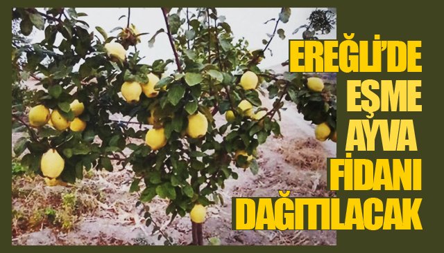 ÇİFTÇİLERİN DİKKATİNE