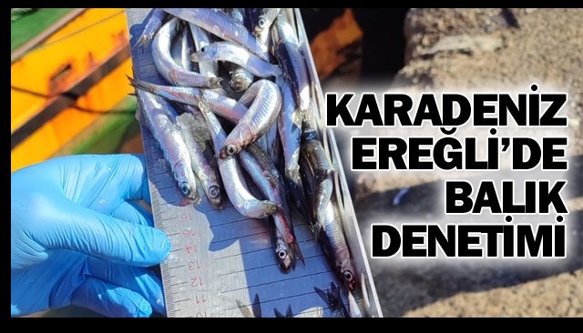 KARADENİZ EREĞLİ’DE BALIK DENETİMİ!