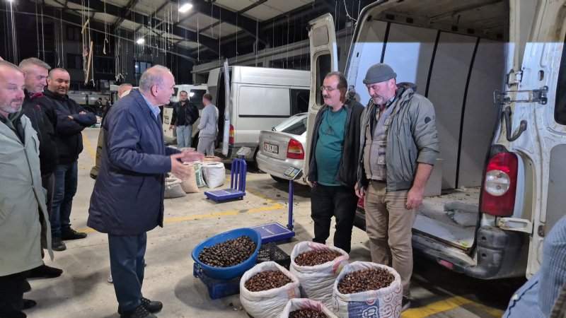 KESTANE PAZARLIKLARLA  ALICI BULUYOR - 1