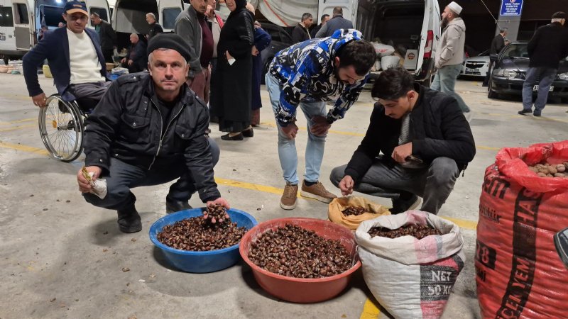 KESTANE PAZARLIKLARLA  ALICI BULUYOR - 2