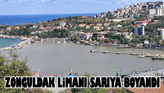 ZONGULDAK LİMANI SARIYA BOYANDI