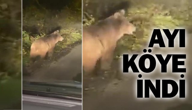 ZONGULDAK´TA BOZAYI…