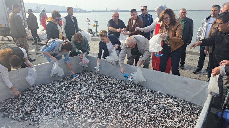 16. HAMSİ FESTİVALİ YOĞUN İLGİ GÖRDÜ - 3