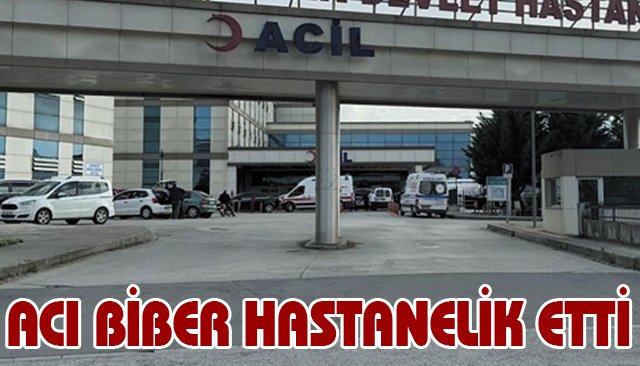 ACI BİBER HASTANELİK ETTİ 
