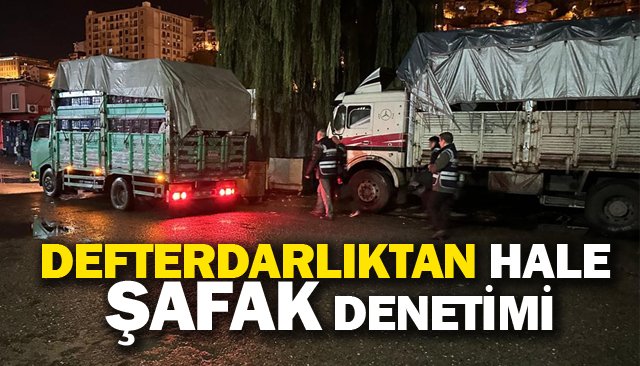 DEFTERDARLIKTAN HALE ŞAFAK DENETİMİ