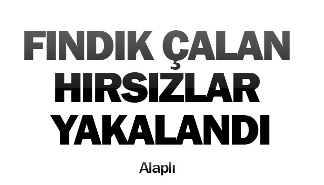 FINDIK ÇALAN HIRSIZLAR YAKALANDI