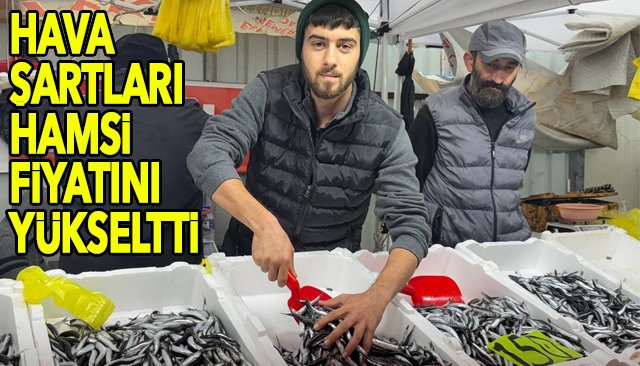 HAVA ŞARTLARI HAMSİ FİYATINI YÜKSELTTİ