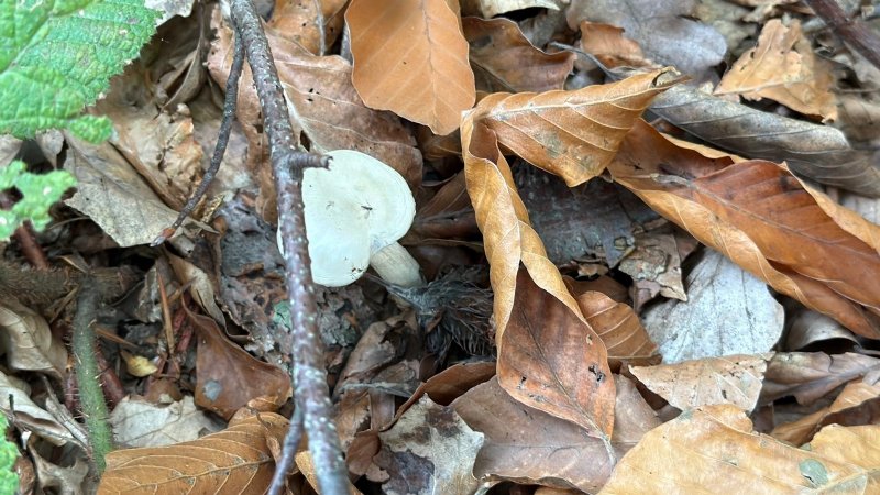 HEPSİ RİSK  İÇERİYOR - 2