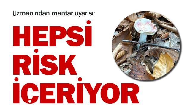 HEPSİ RİSK İÇERİYOR