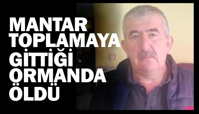 MANTAR TOPLAMAYA GİTTİĞİ ORMANDA ÖLDÜ