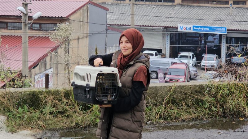 ‘ÖLDÜ´ SANILAN KEDİ, BACAĞINDA MERMİYLE GERİ DÖNDÜ - 2