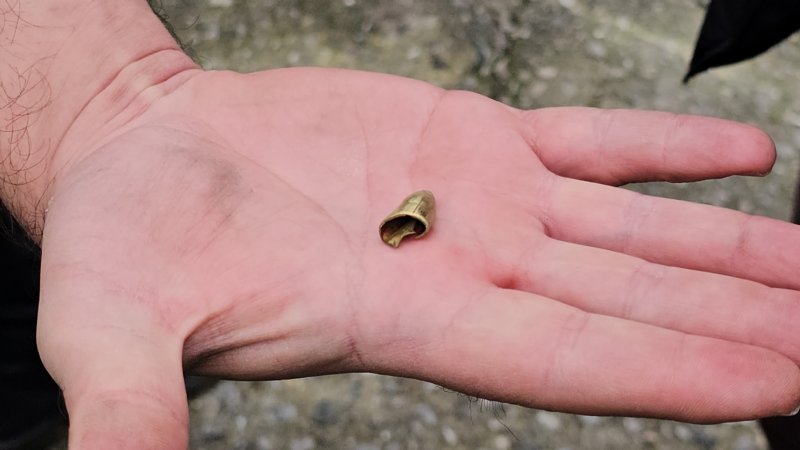 ‘ÖLDÜ´ SANILAN KEDİ, BACAĞINDA MERMİYLE GERİ DÖNDÜ - 3