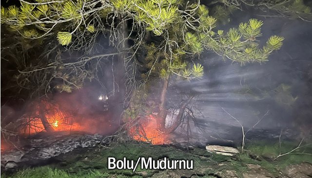 ORMANLIK ALANDA YANGIN