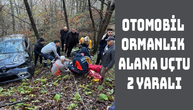 OTOMOBİL ORMANLIK ALANA UÇTU, 2 YARALI
