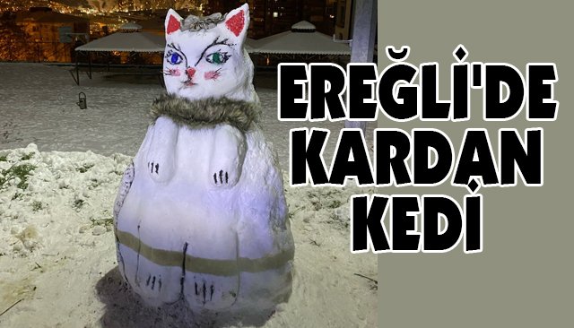 EREĞLİ´DE KARDAN KEDİ 