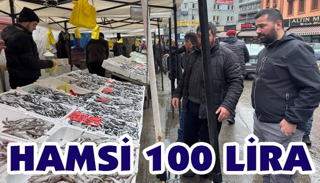 HAMSİ 100 LİRA