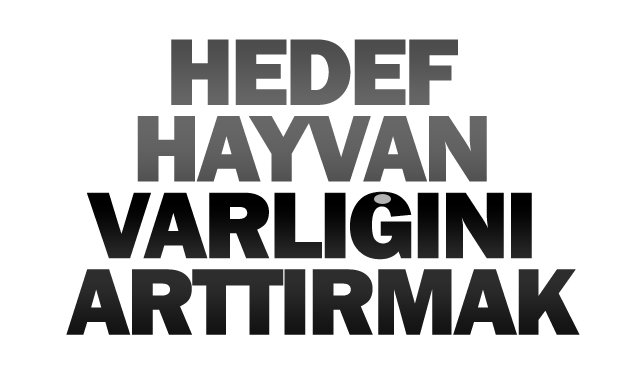 HEDEF HAYVAN  VARLIĞINI ARTTIRMAK