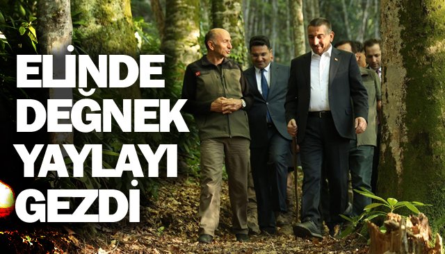 DÜNYA MİRASI AĞACI GÖRMEYE GİTTİ
