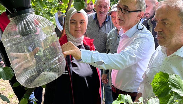 KOKARCALAR İÇİN TUZAKLAR ASILDI