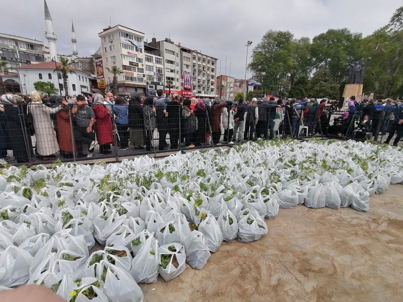 ÜCRETSİZ FİDEYE  ÇOK BÜYÜK İLGİ - 3