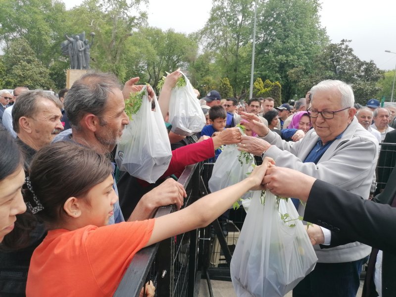 ÜCRETSİZ FİDEYE  ÇOK BÜYÜK İLGİ - 5